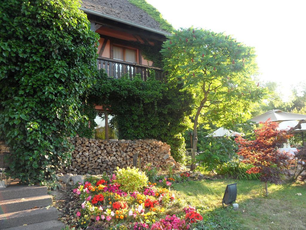 Hotel Restaurant Verger Des Chateaux, Route Des Vins Haut-Koenigsbourg Dieffenthal Kültér fotó