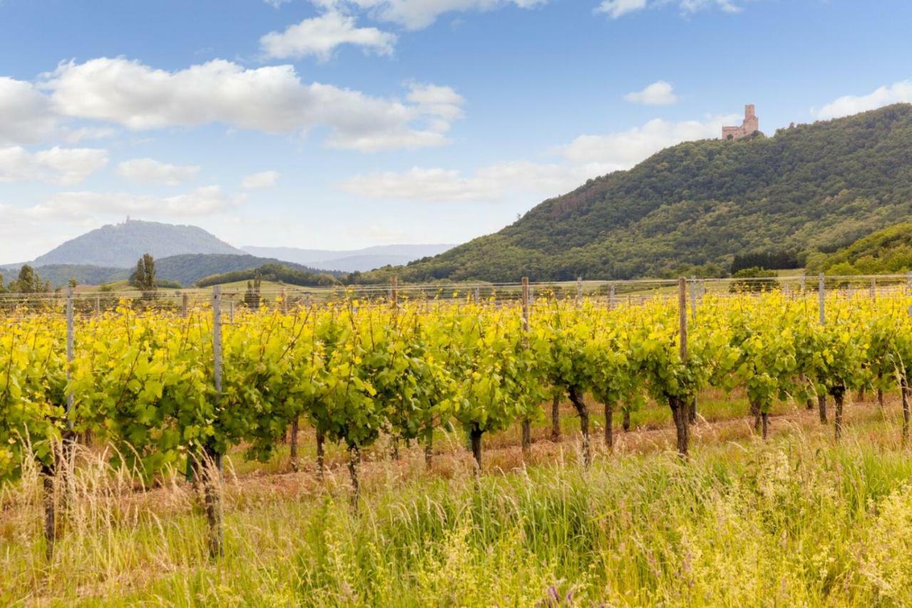 Hotel Restaurant Verger Des Chateaux, Route Des Vins Haut-Koenigsbourg Dieffenthal Kültér fotó